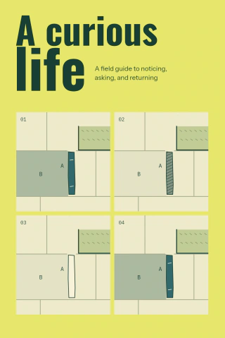A curious life cover